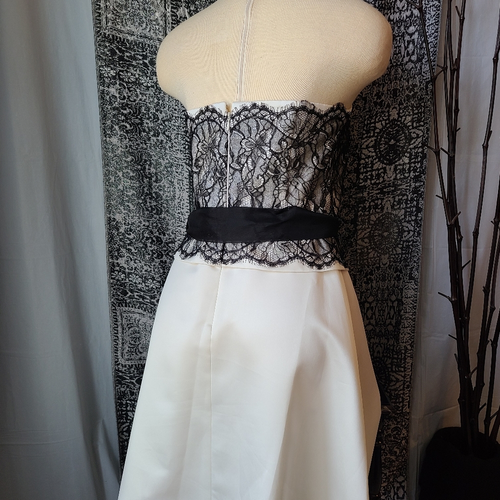 WHBM...STUNNING DRESS - Picture 3 of 5